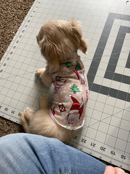 Design Your Own Dog Shirt