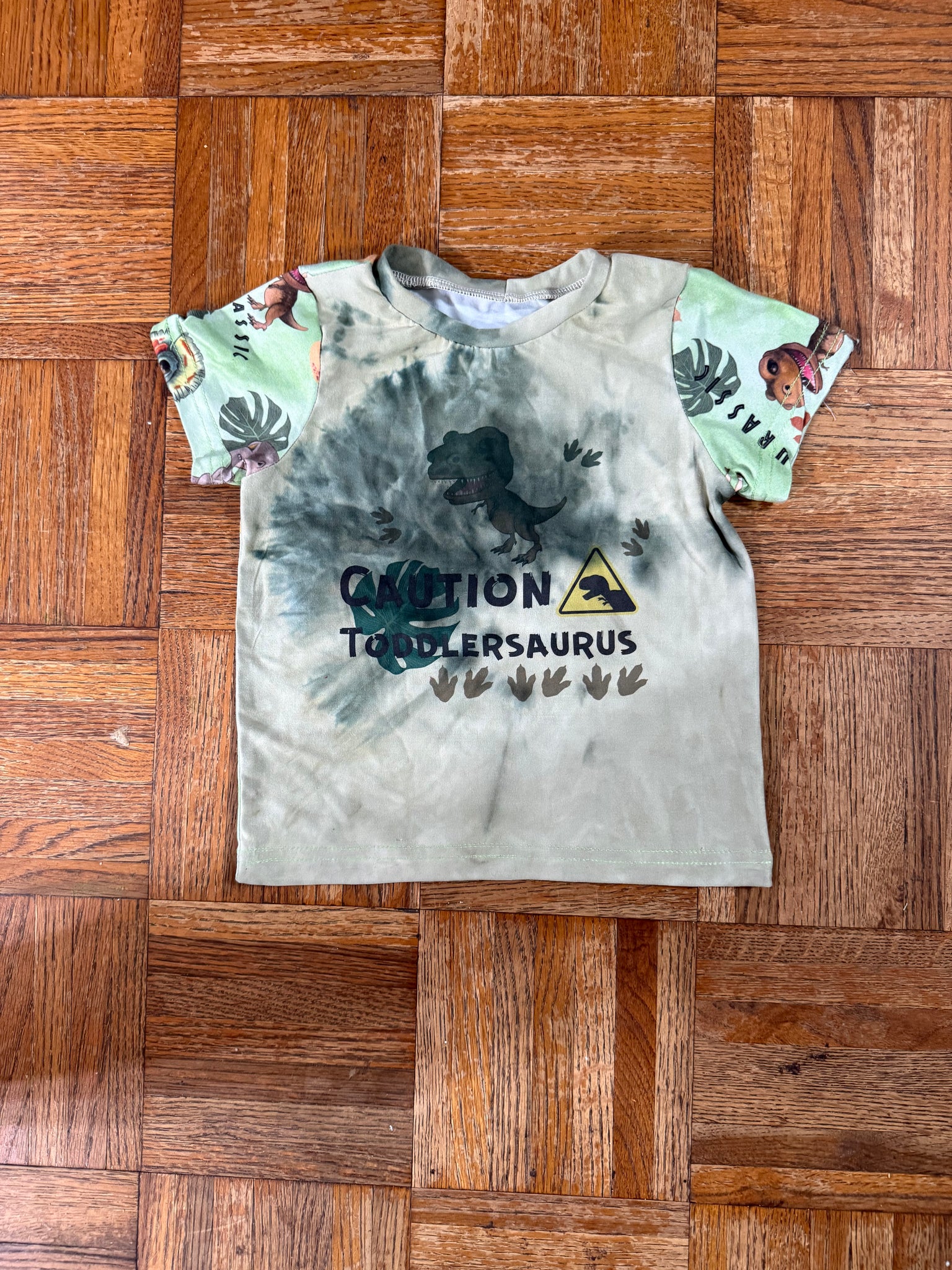 2T Toddlersaurus Tee