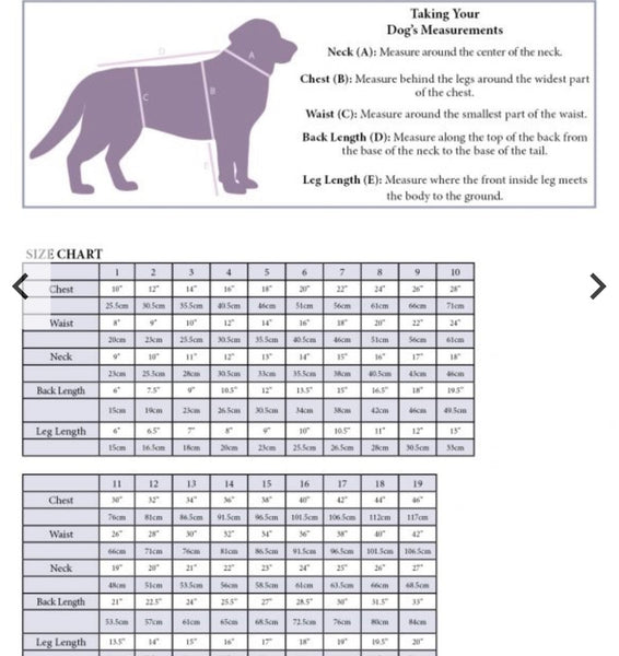 Design Your Own Dog Shirt
